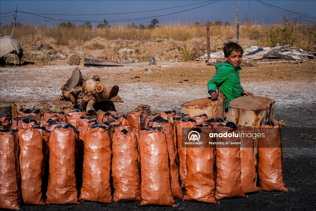 Iraq's charcoal makers: Battling poverty and limited resources