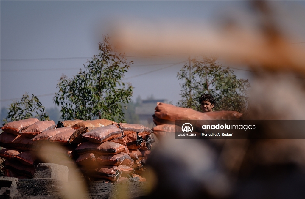 Iraq's charcoal makers: Battling poverty and limited resources