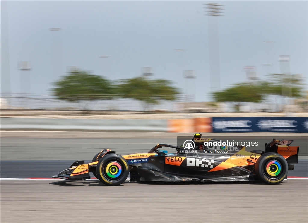 Formula 1'de 2025 sezon öncesi test sürüşleri