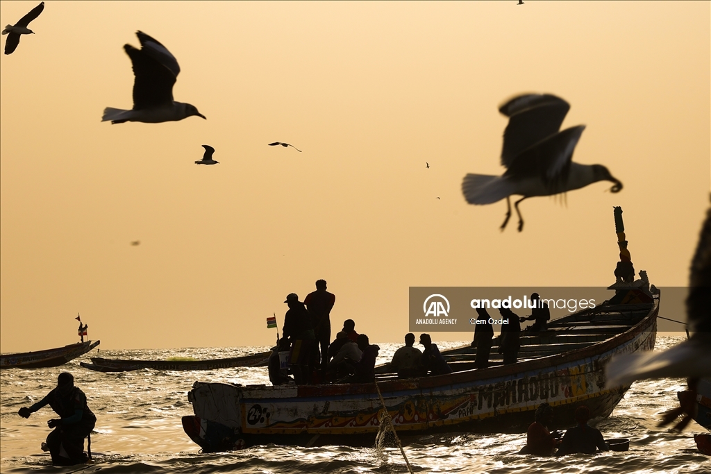 الثروة السمكية بغرب إفريقيا.. تنوع بيولوجي بمواجهة صيد جائر 