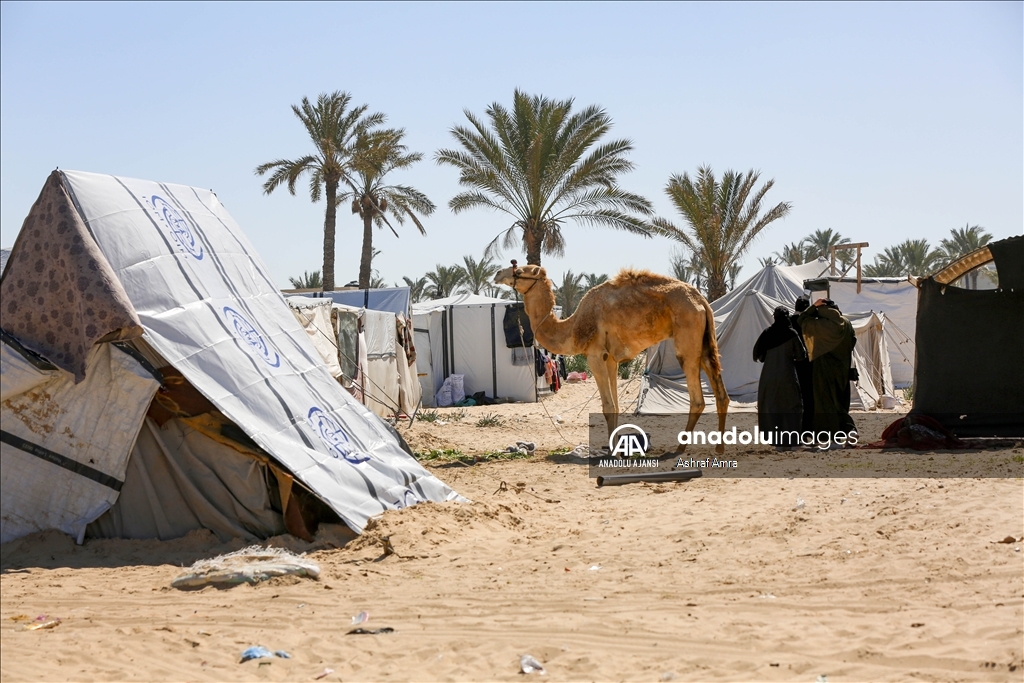 Han Yunus'a geri dönen Gazzeliler, çadır kampı kurdu