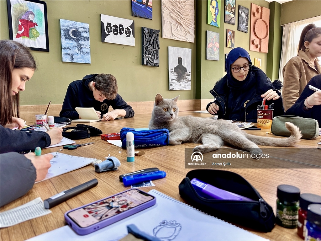 Picasso the cat brings joy into art classes