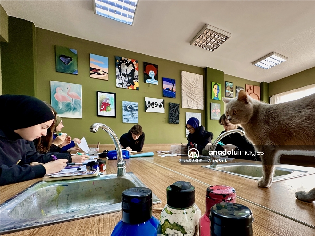 Picasso the cat brings joy into art classes
