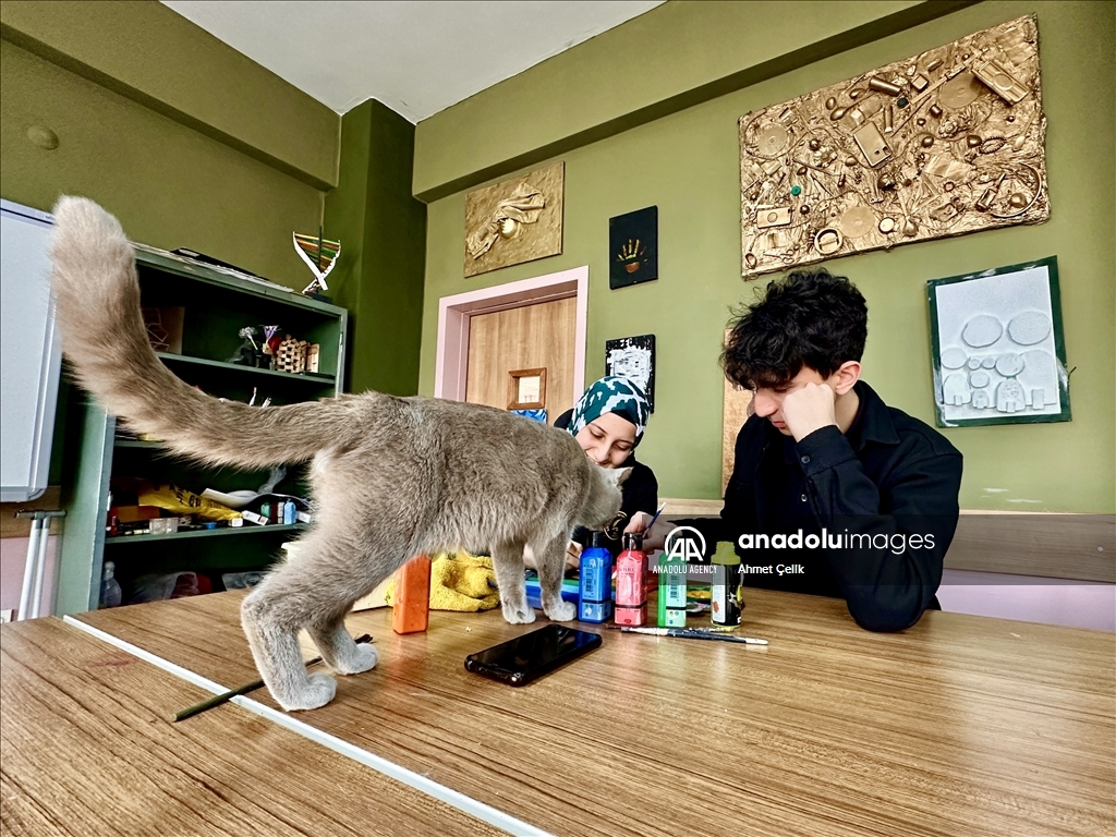 Picasso the cat brings joy into art classes