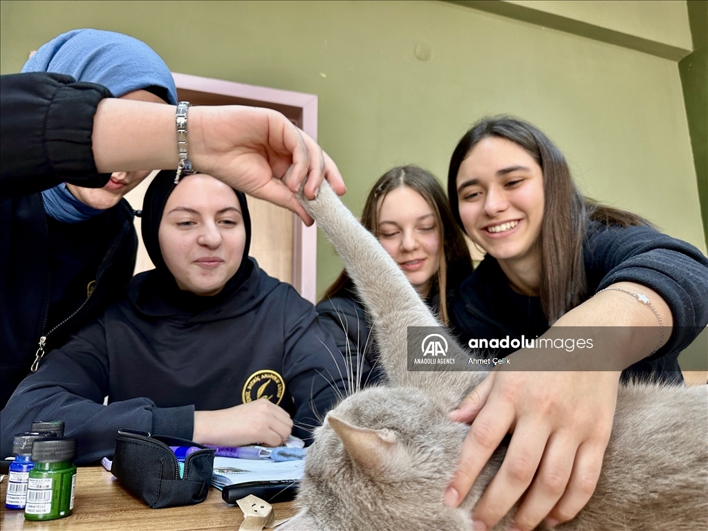 Picasso the cat brings joy into art classes