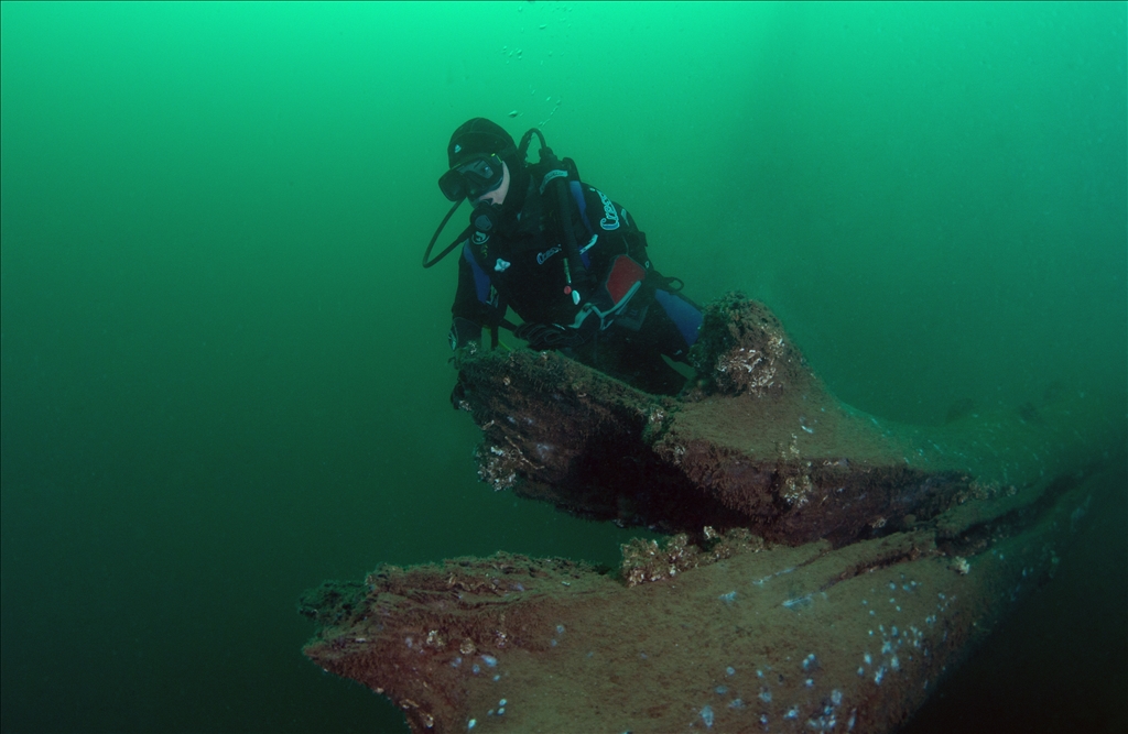 Sycamore trees submerged under water in Golcuk during the Marmara Earthquake