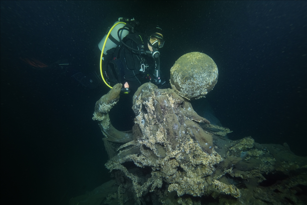 Sycamore trees submerged under water in Golcuk during the Marmara Earthquake
