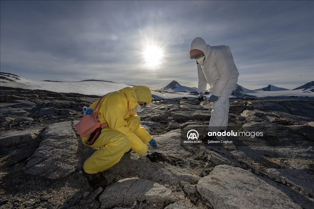 Bird flu and anthropogenic pollutants affect Antarctica's future