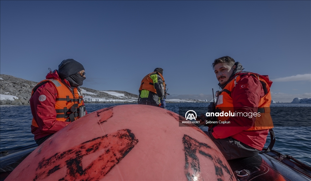 Bird flu and anthropogenic pollutants affect Antarctica's future