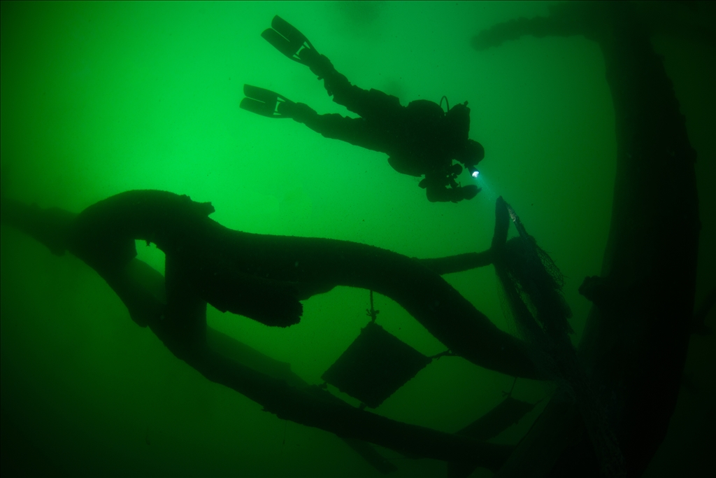 Sycamore trees submerged under water in Golcuk during the Marmara Earthquake