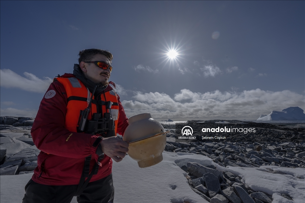 Bird flu and anthropogenic pollutants affect Antarctica's future