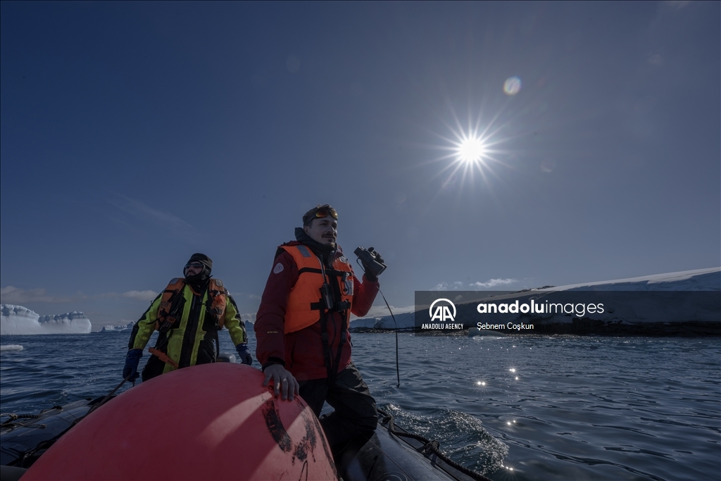 Bird flu and anthropogenic pollutants affect Antarctica's future