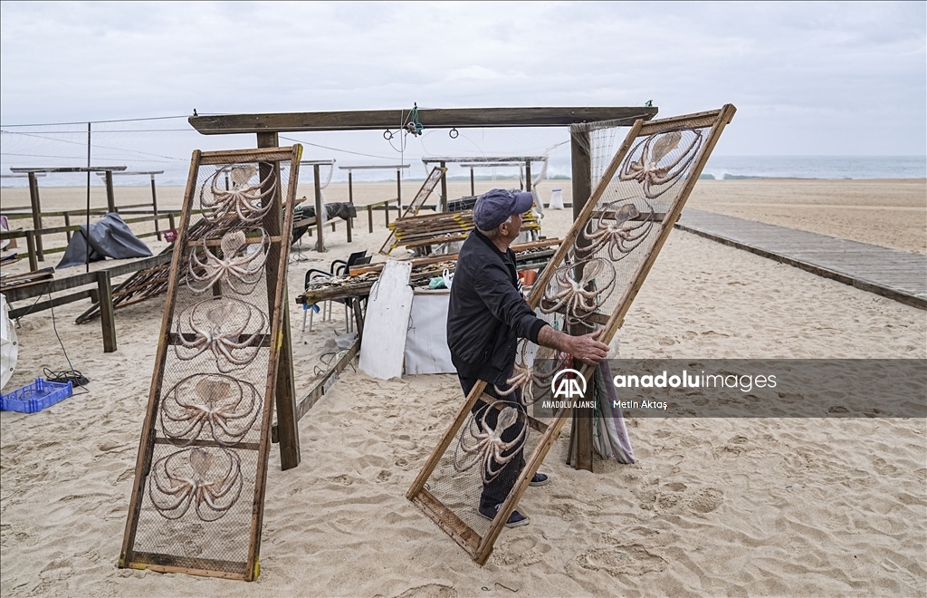 Portekiz'in Atlantik Okyanusu kıyısındaki Nazare şehrindeki kuru balık pazarı