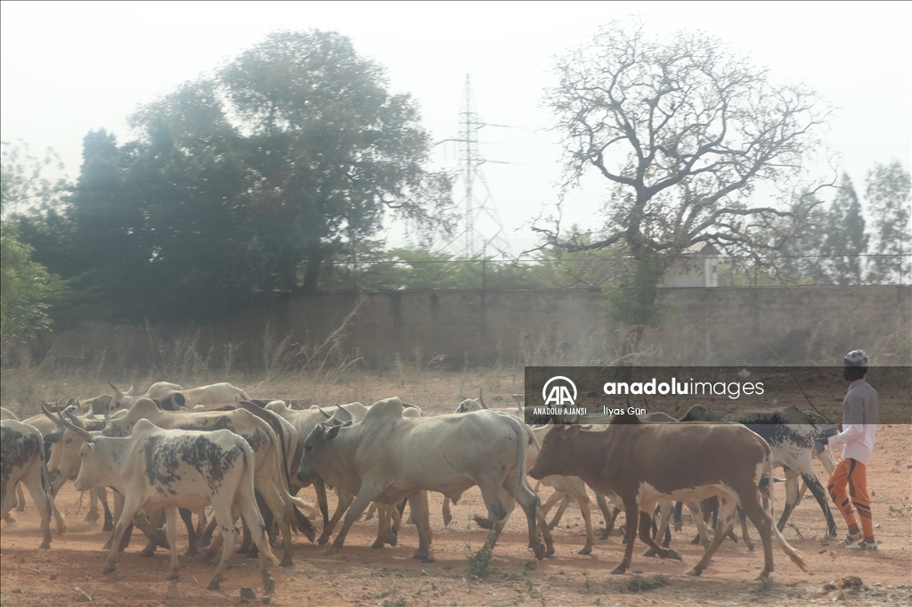 Mali'de günlük yaşam