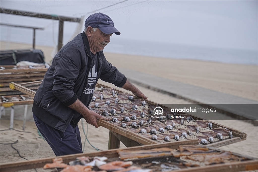 Portekiz'in Atlantik Okyanusu kıyısındaki Nazare şehrindeki kuru balık pazarı