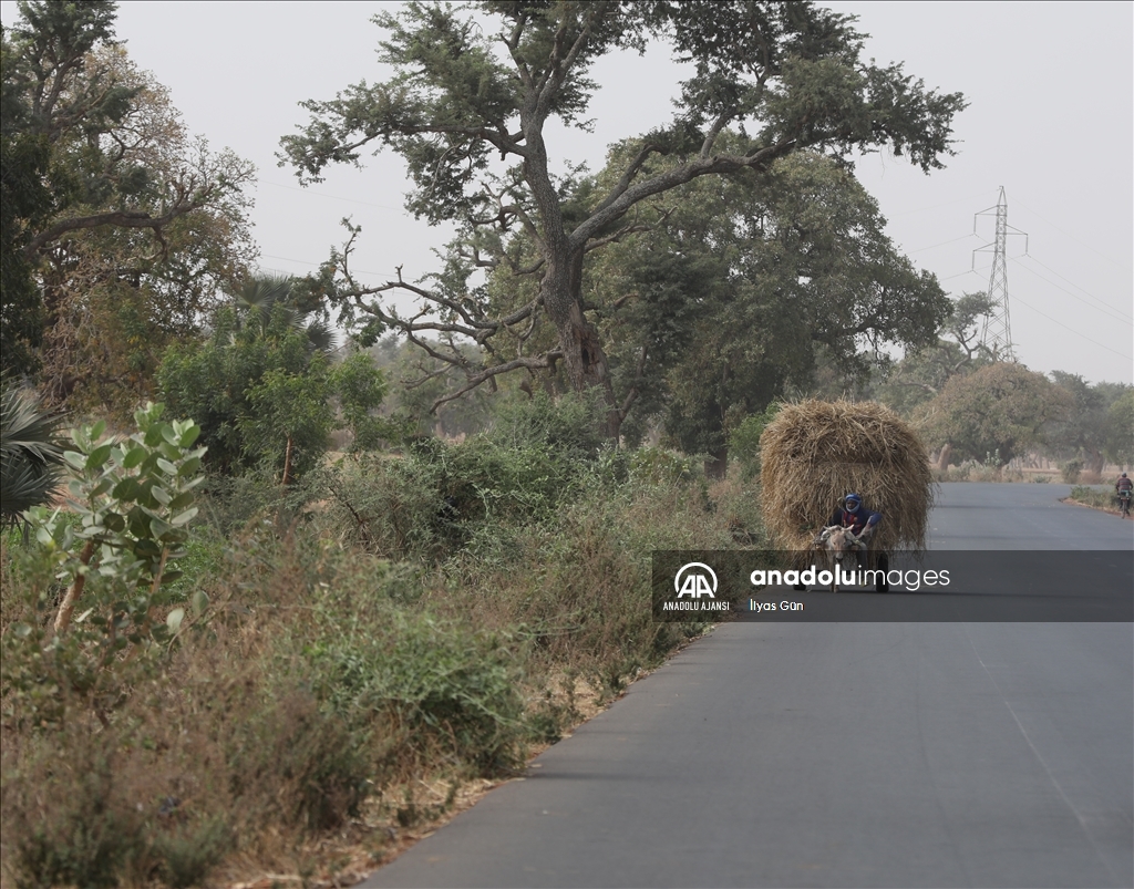 Mali'de günlük yaşam