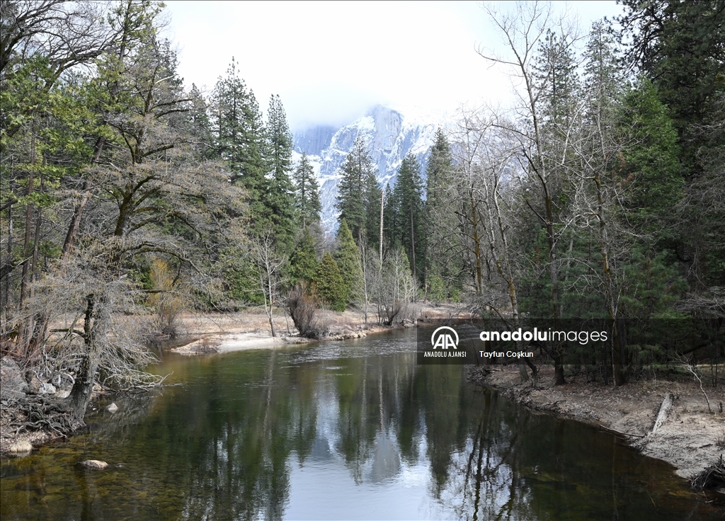 California'daki Yosemite Ulusal Parkı