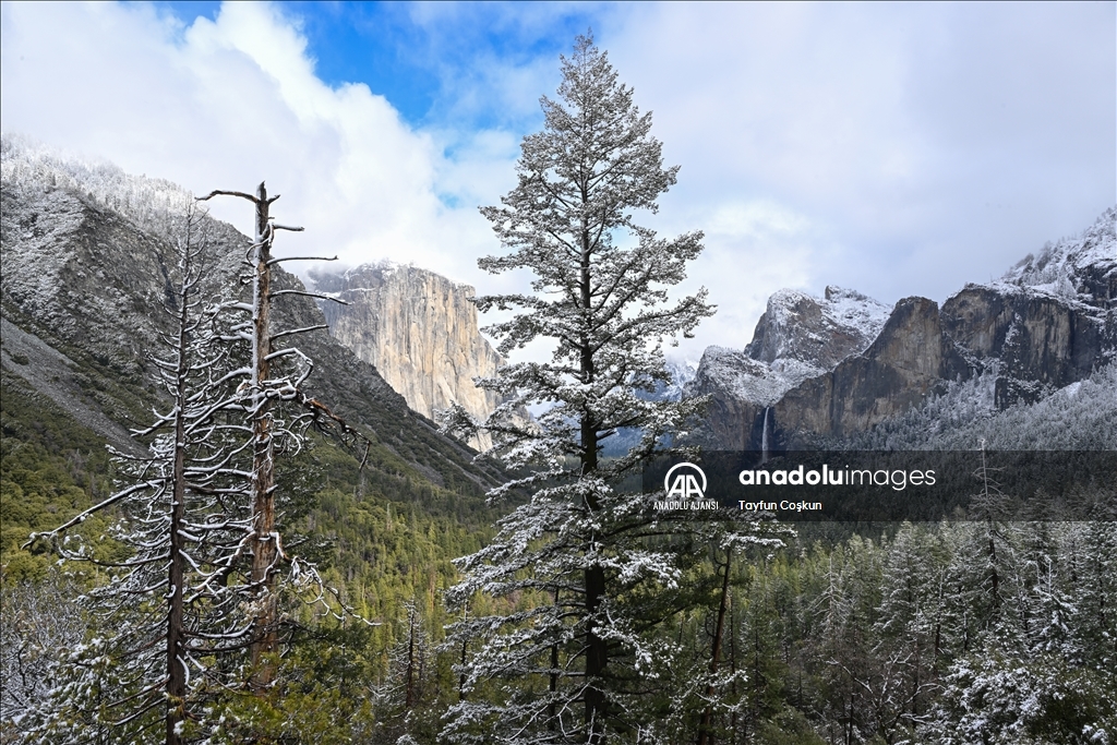 California'daki Yosemite Ulusal Parkı