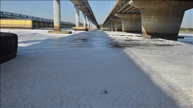 Yeni Delhi'deki Yamuna Nehri köpükle kaplandı