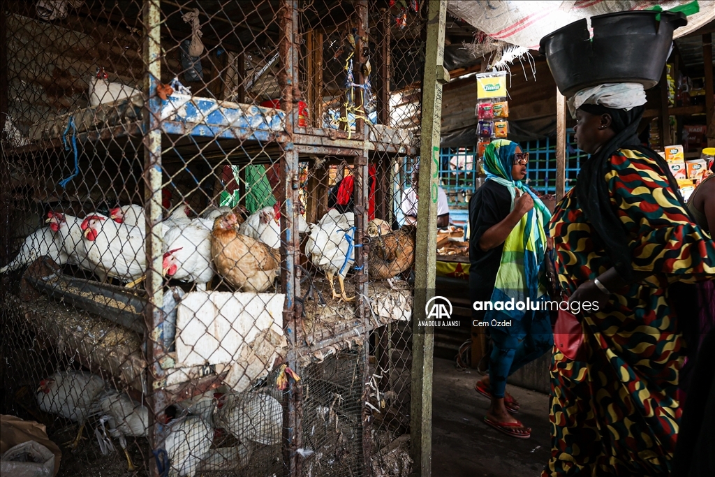 Afrika'daki pazarlar, ticari faaliyetlerin yanında önemli kültürel etkileşim merkezleri konumunda