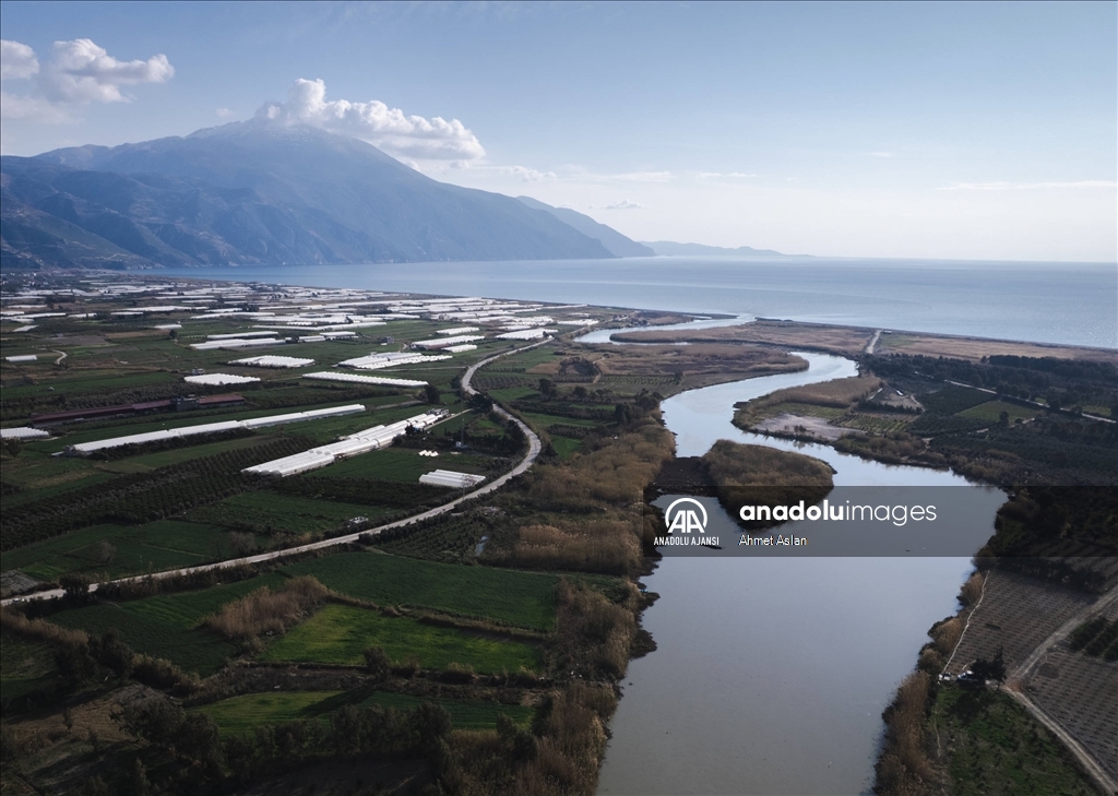 Asi Nehri deltasında balıkçıların av mesaisi