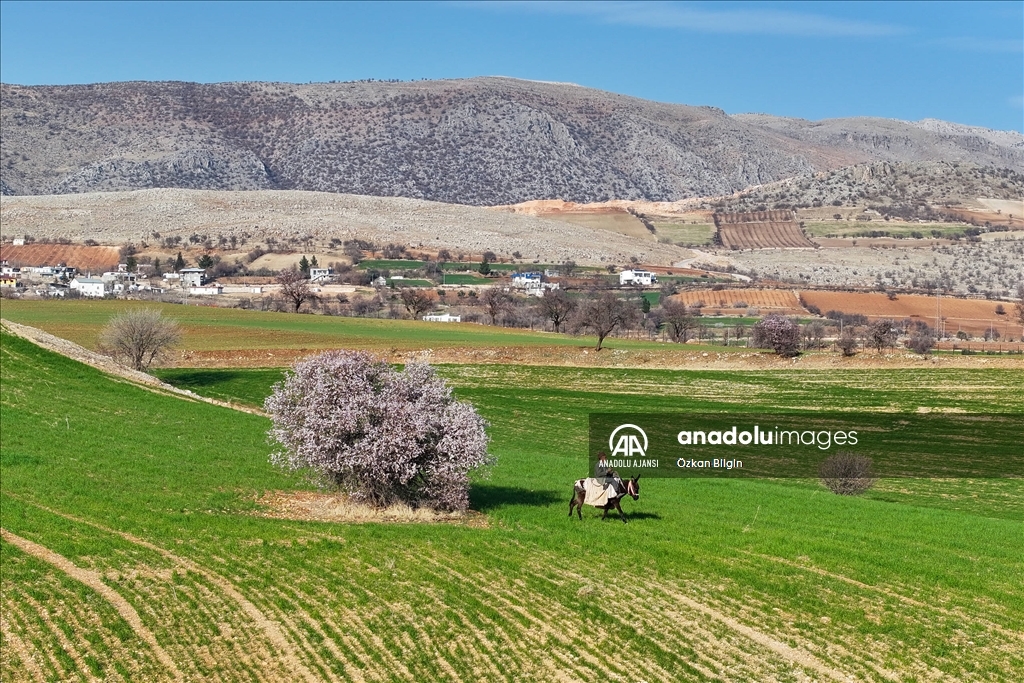 Adıyaman'a bu yıl ''bahar'' erken geldi