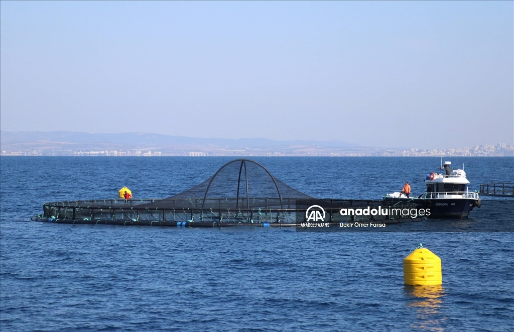 Adana'nın su ürünleri potansiyeli kafes balıkçılığıyla artacak