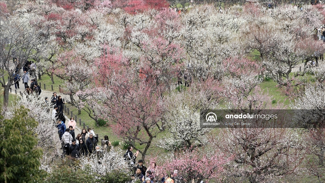 Daily life in Japan's Osaka