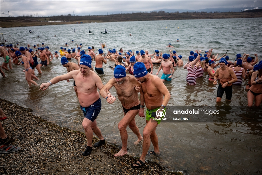 Guinness world records largest polar bear dip in the Czech Republic