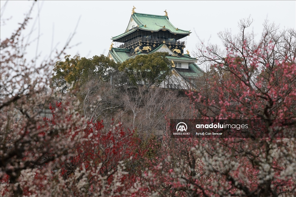 Daily life in Japan's Osaka