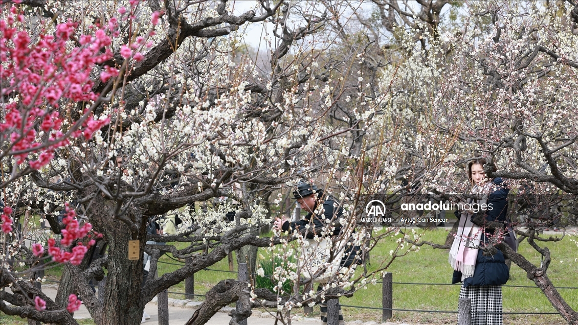 Japonya'da günlük yaşam