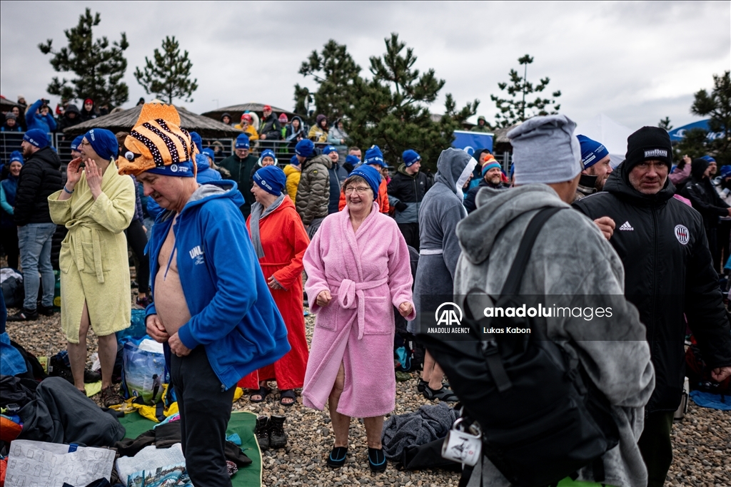 Guinness world records largest polar bear dip in the Czech Republic