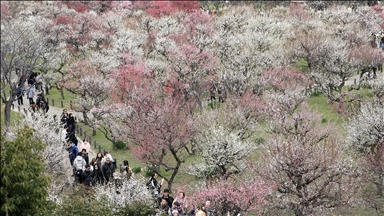 Daily life in Japan's Osaka