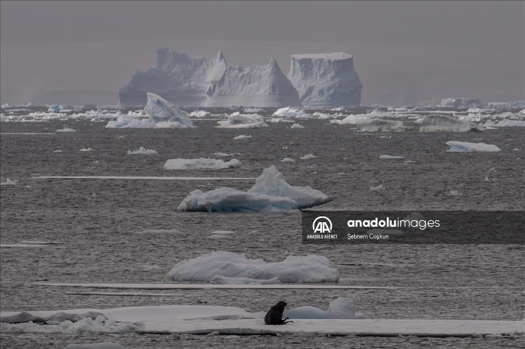 9th National Antarctic Science Expedition team returns to Turkiye