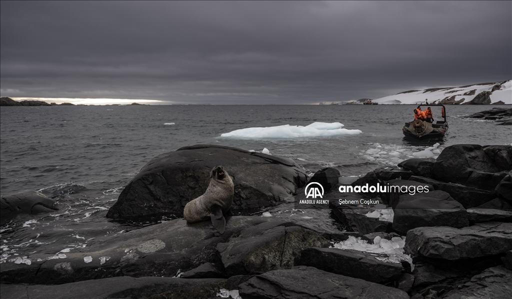 9th National Antarctic Science Expedition team returns to Turkiye