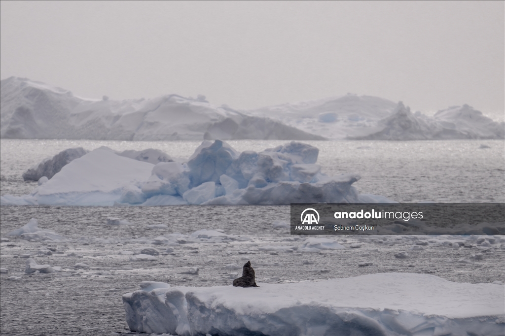 9th National Antarctic Science Expedition team returns to Turkiye