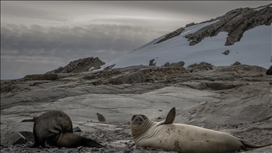 9th National Antarctic Science Expedition team returns to Türkiye