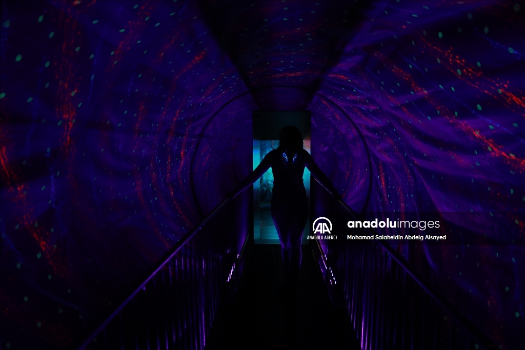 Silent Museum Party in Musee de L'Illusion Paris