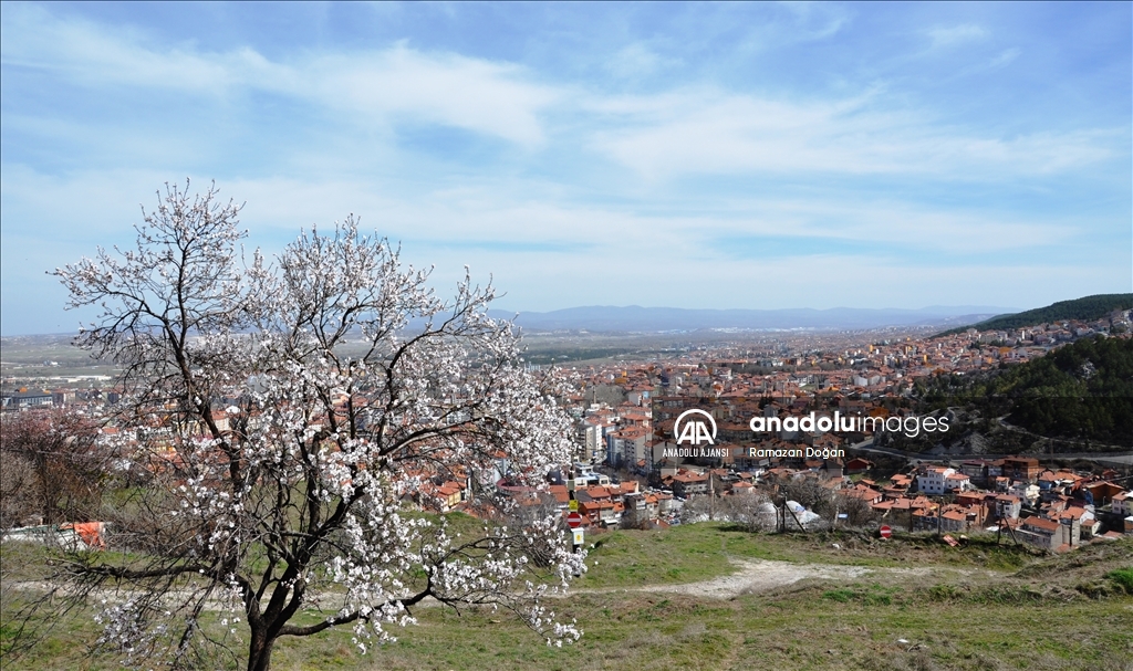 Kütahya'da tarihi Hisar Kalesi'nin eteklerindeki bademler çiçeklendi