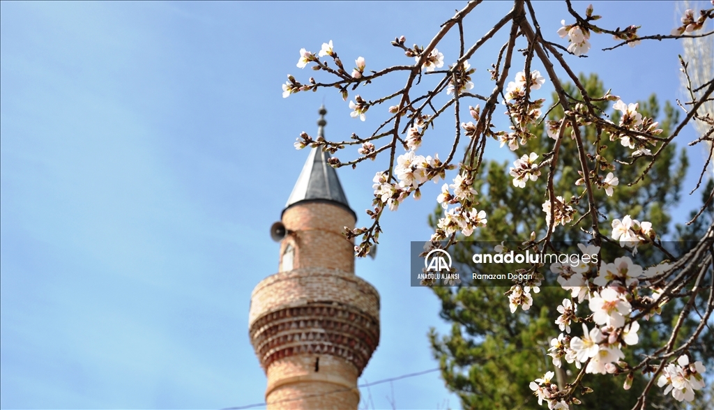 Kütahya'da tarihi Hisar Kalesi'nin eteklerindeki bademler çiçeklendi