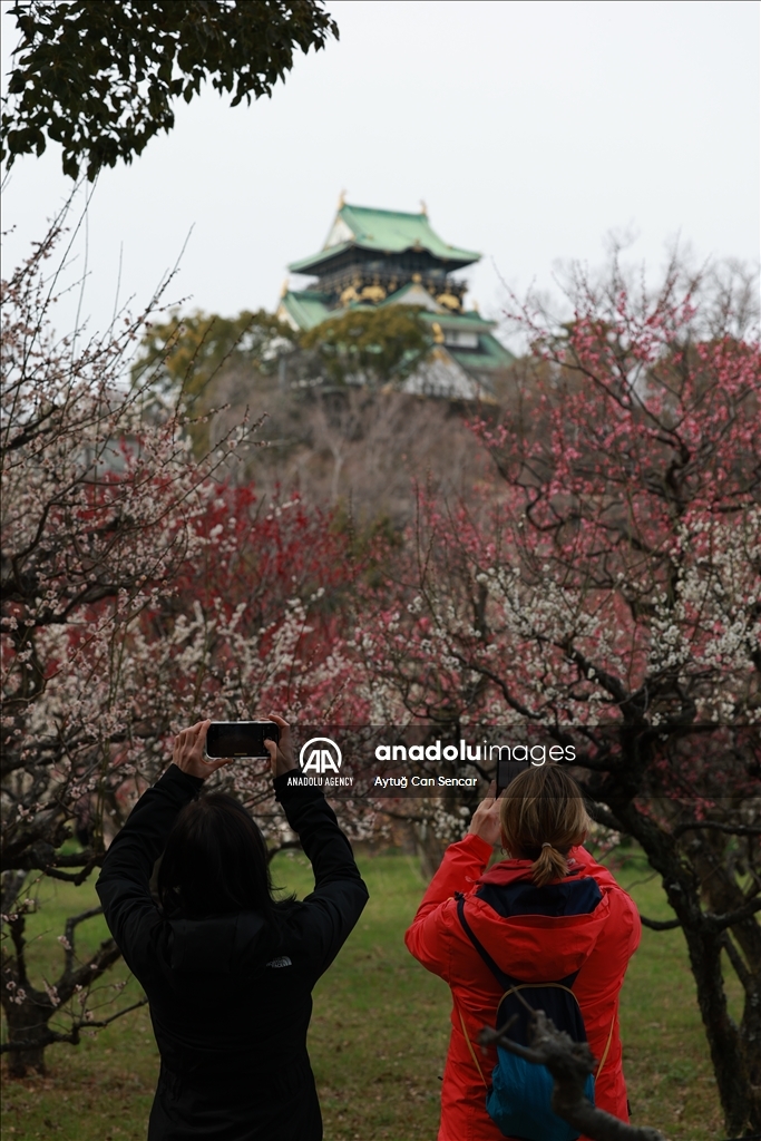 Osaka: Grad koji spaja tradiciju i modernost 