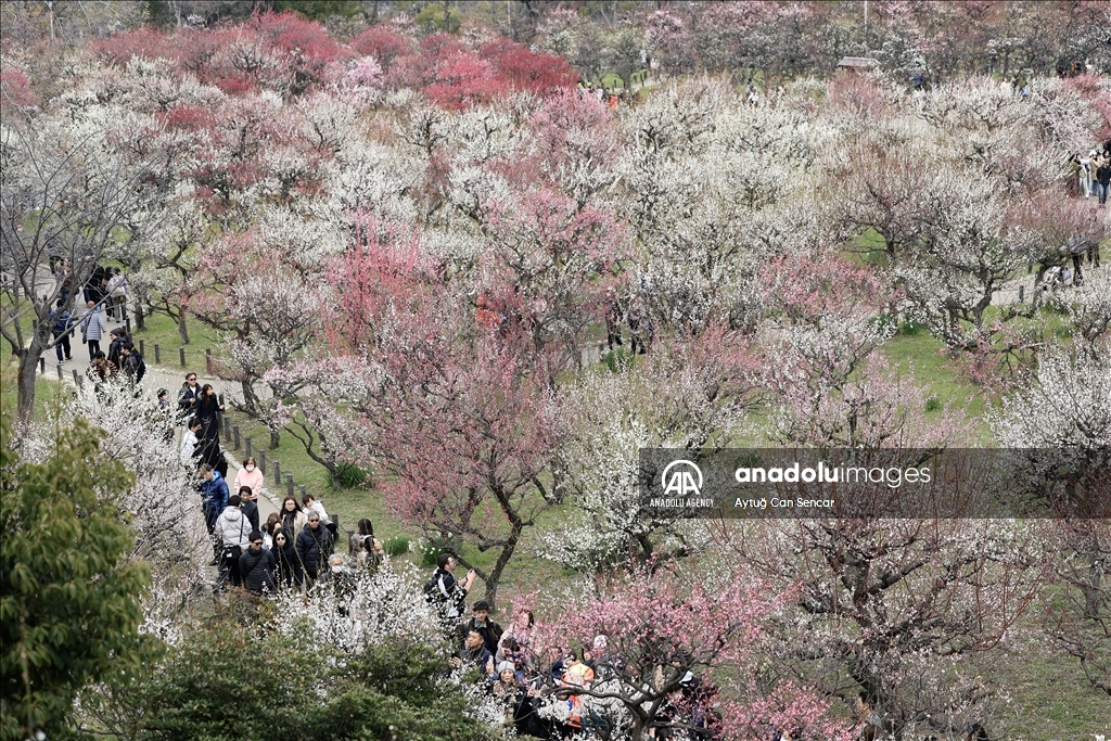 Osaka: Grad koji spaja tradiciju i modernost