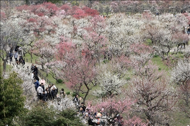 Osaka: Grad koji spaja tradiciju i modernost 