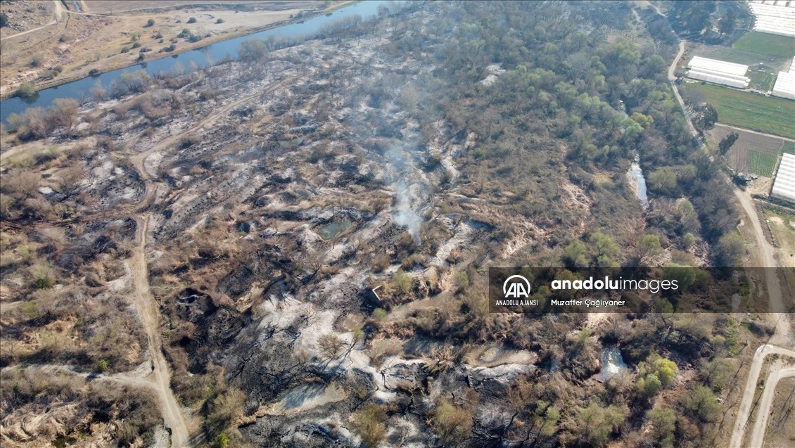 Osmaniye'deki Kastabala Kuş Cenneti'nde çıkan yangın söndürüldü