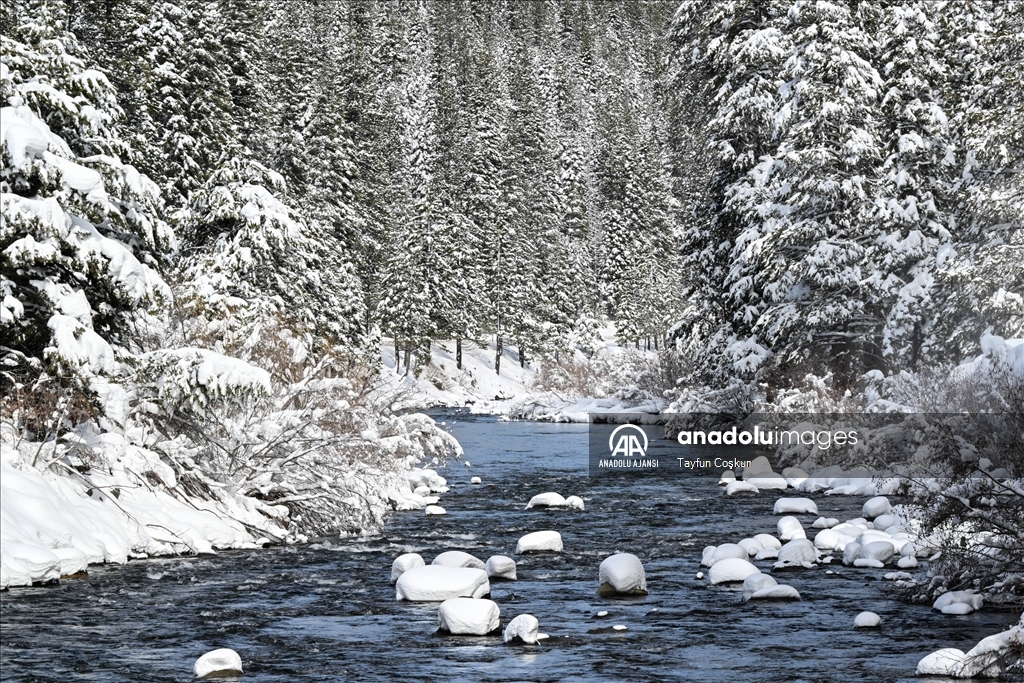 ABD'nin California eyaletindeki Truckee Nehri çevresi karla kaplandı