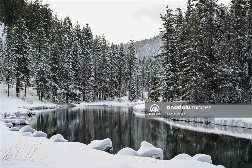 ABD'nin California eyaletindeki Truckee Nehri çevresi karla kaplandı