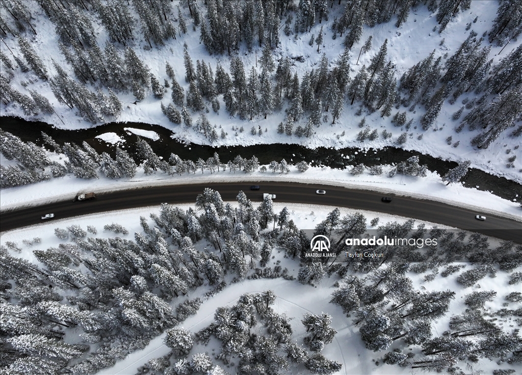 ABD'nin California eyaletindeki Truckee Nehri çevresi karla kaplandı