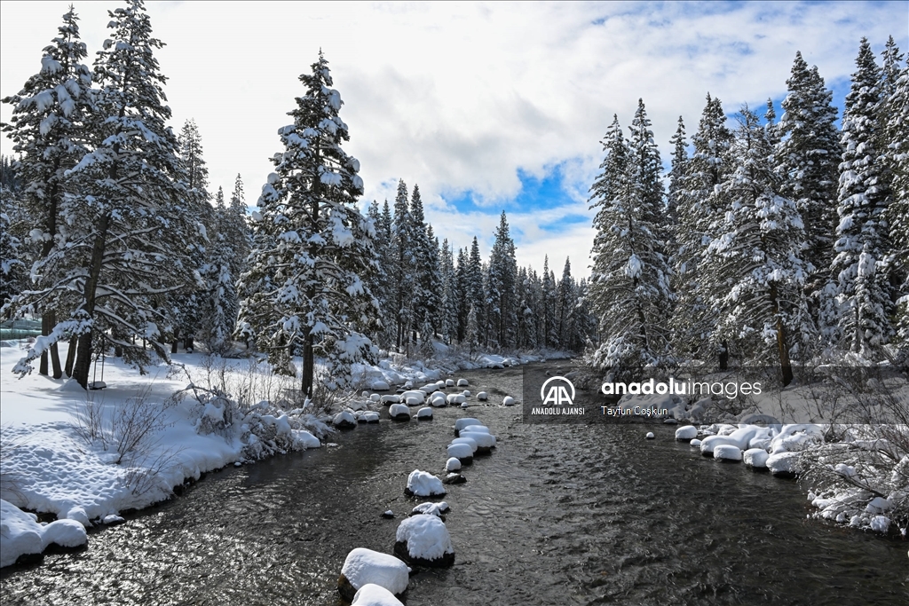 ABD'nin California eyaletindeki Truckee Nehri çevresi karla kaplandı