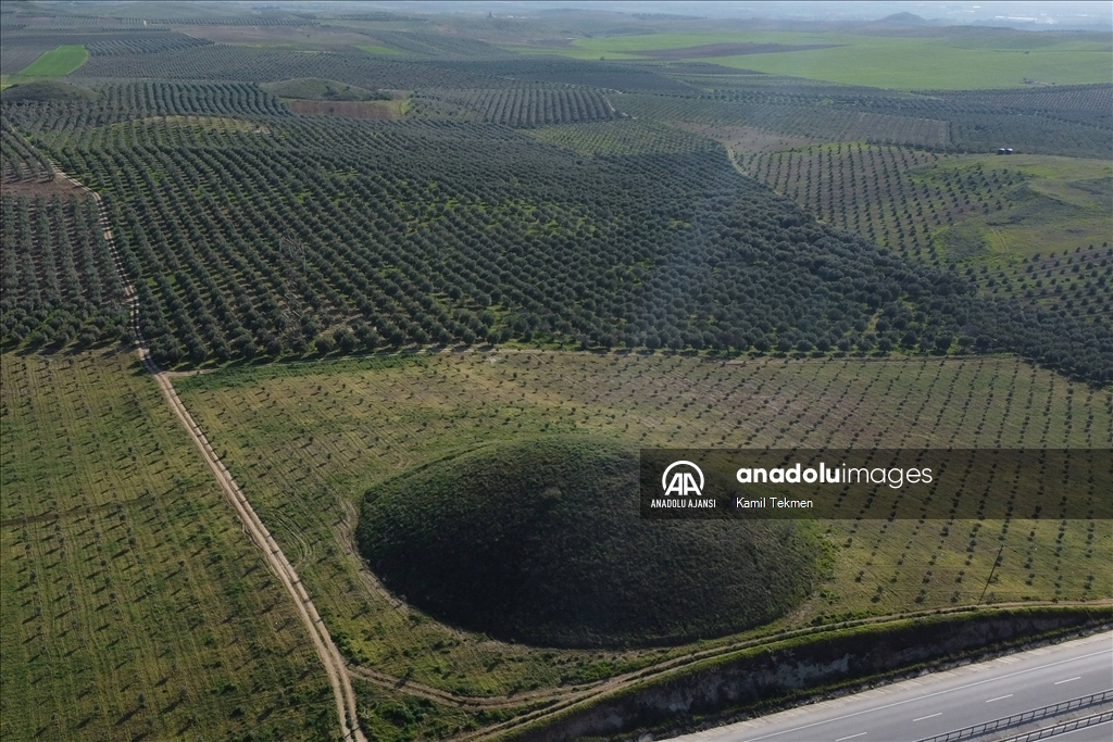 Lidya soylularının defnedildiği Bintepeler, açan çiçeklerle renklendi