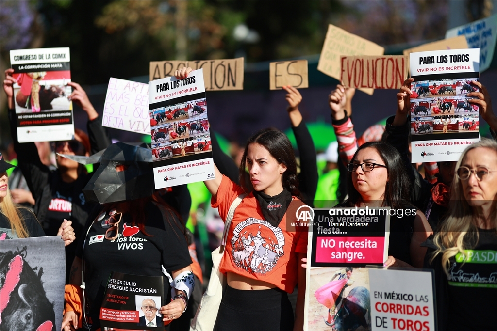 Mexico City approves non-violent bullfighting 